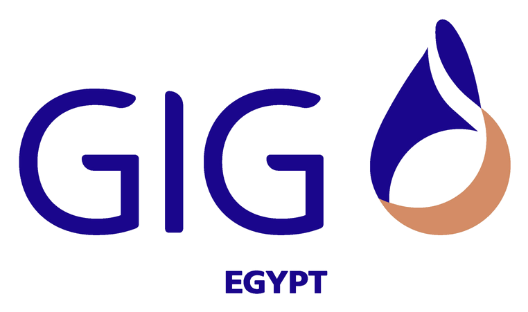 GIG Egypt
