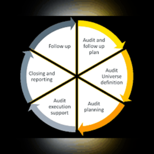 Internal Audit Activities